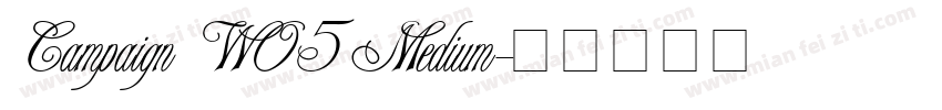 Campaign W05 Medium字体转换